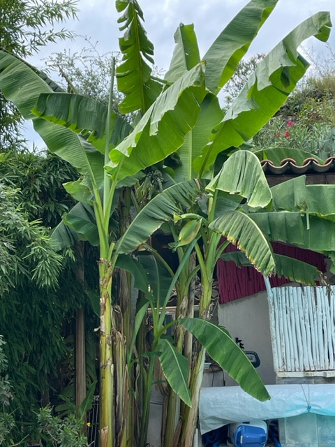 GreenGo Gîte Occitanie À la campagne
