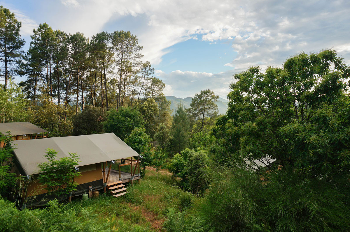 Bivouac nature