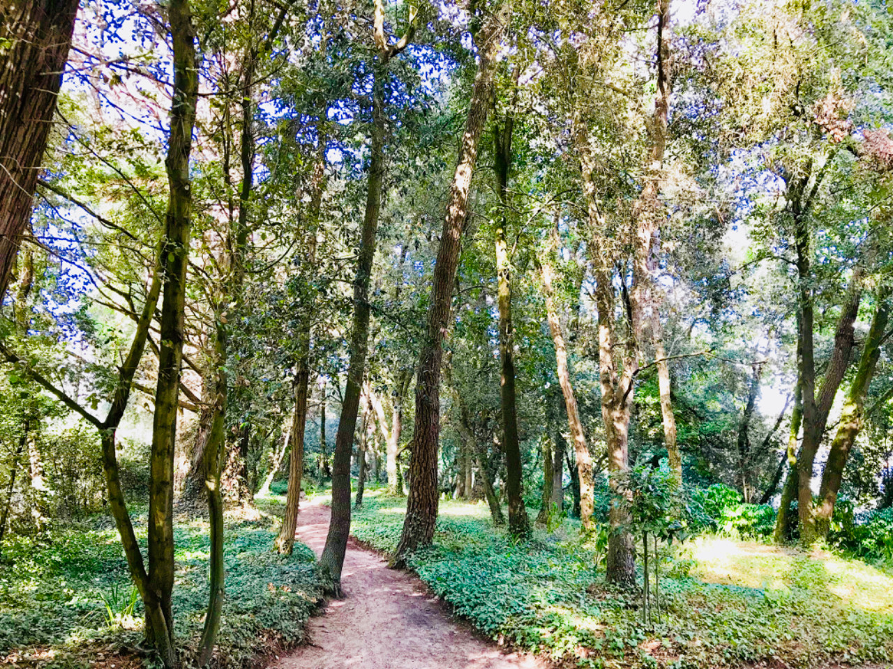 GreenGo location vacances écoresponsables