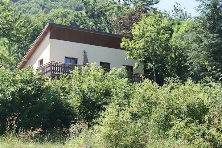 Hautes-Alpes En forêt