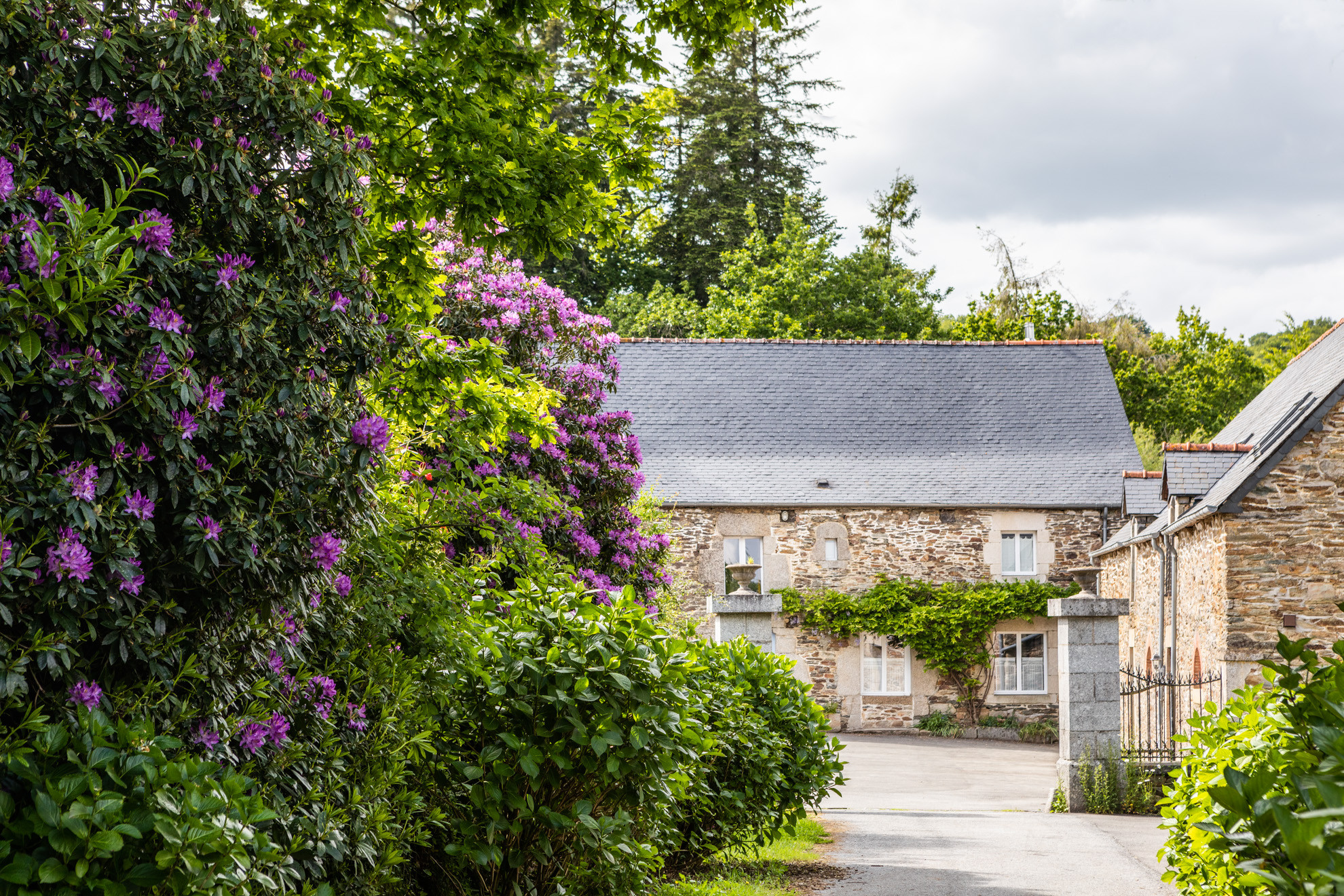 Le Bôlieu
