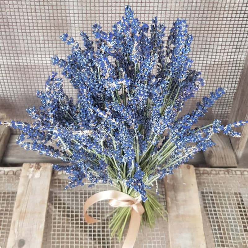 Var À la campagne