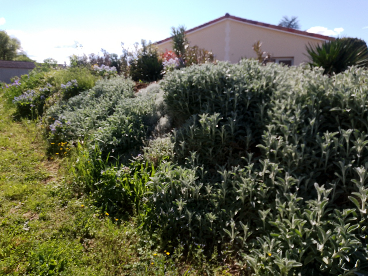 GreenGo Gîtes Jasmin et Lavande