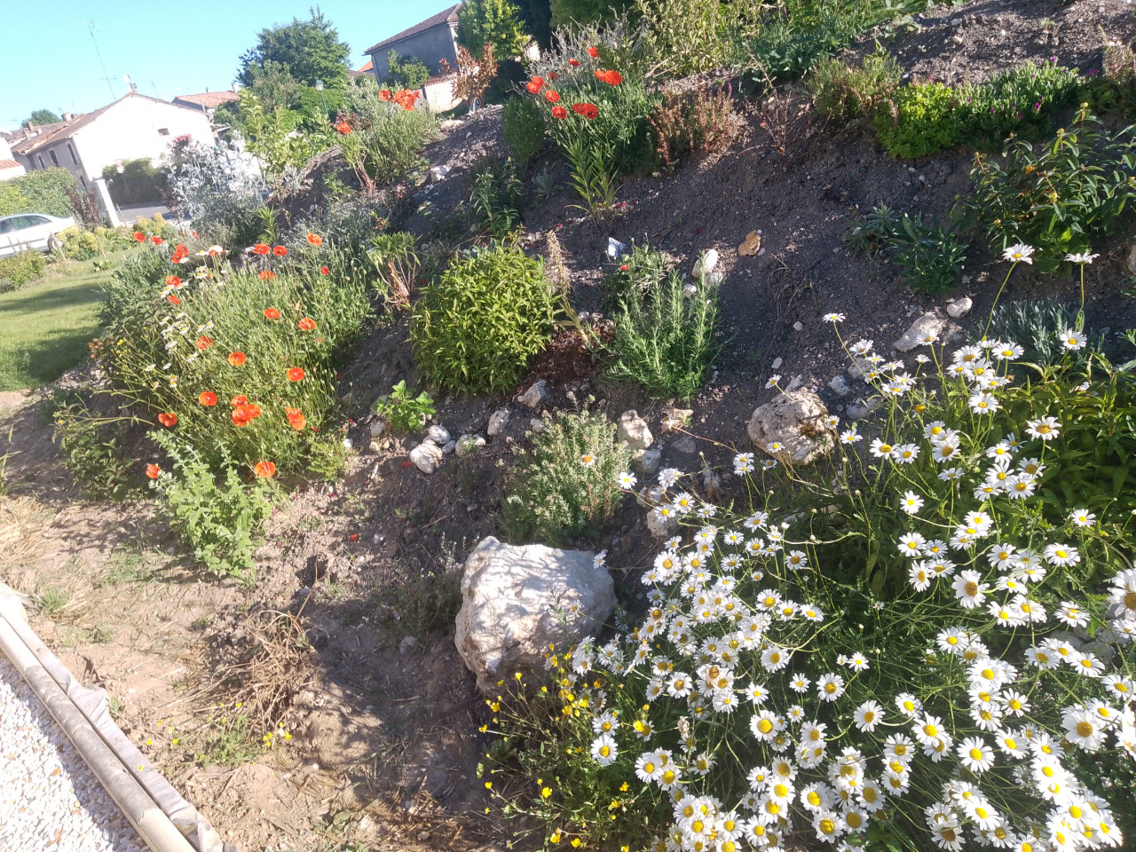 Charente À la campagne
