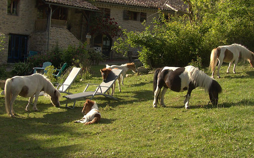 Le Hameau de Villauret