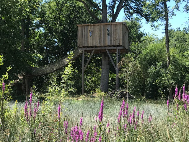 GreenGo Chambre d’hôtes Centre-Val de Loire Glamping