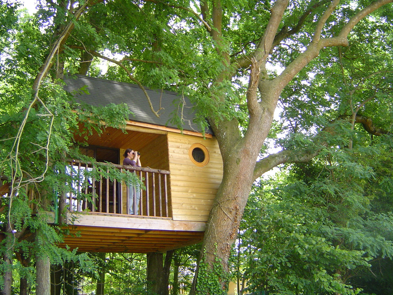 GreenGo Logement insolite Grand Est Évasion