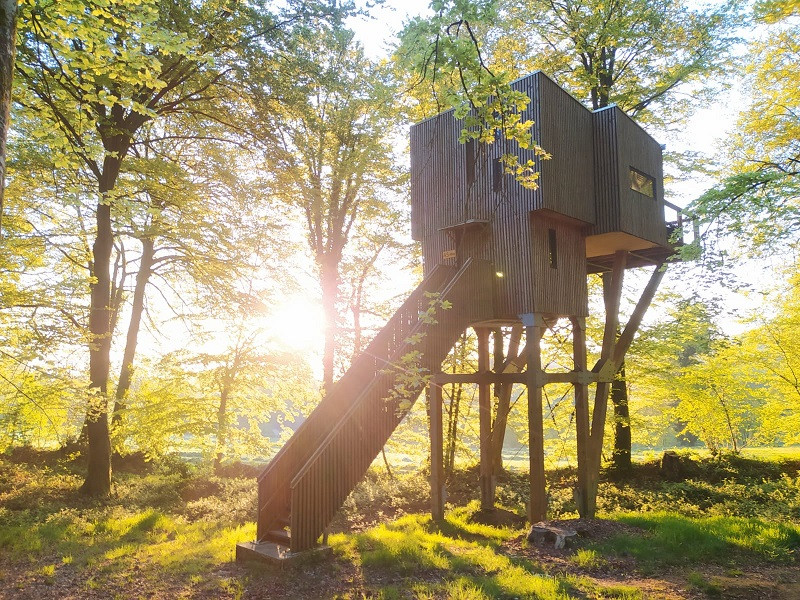 GreenGo Gîte Normandie En forêt
