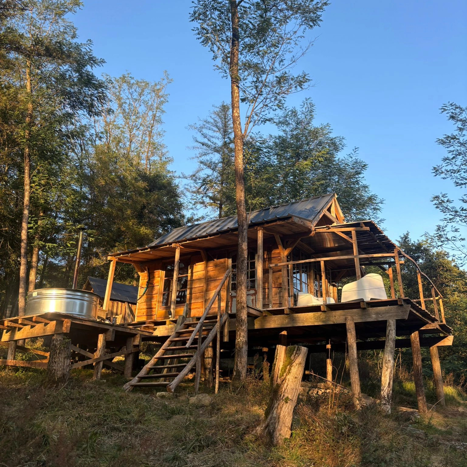 Cabane du berger