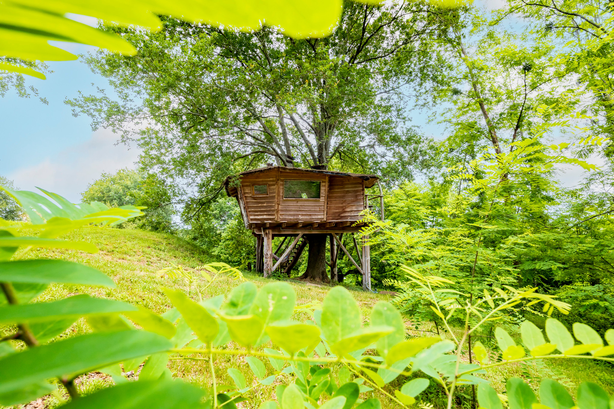 Hôte GreenGo: Domaine des Laminak