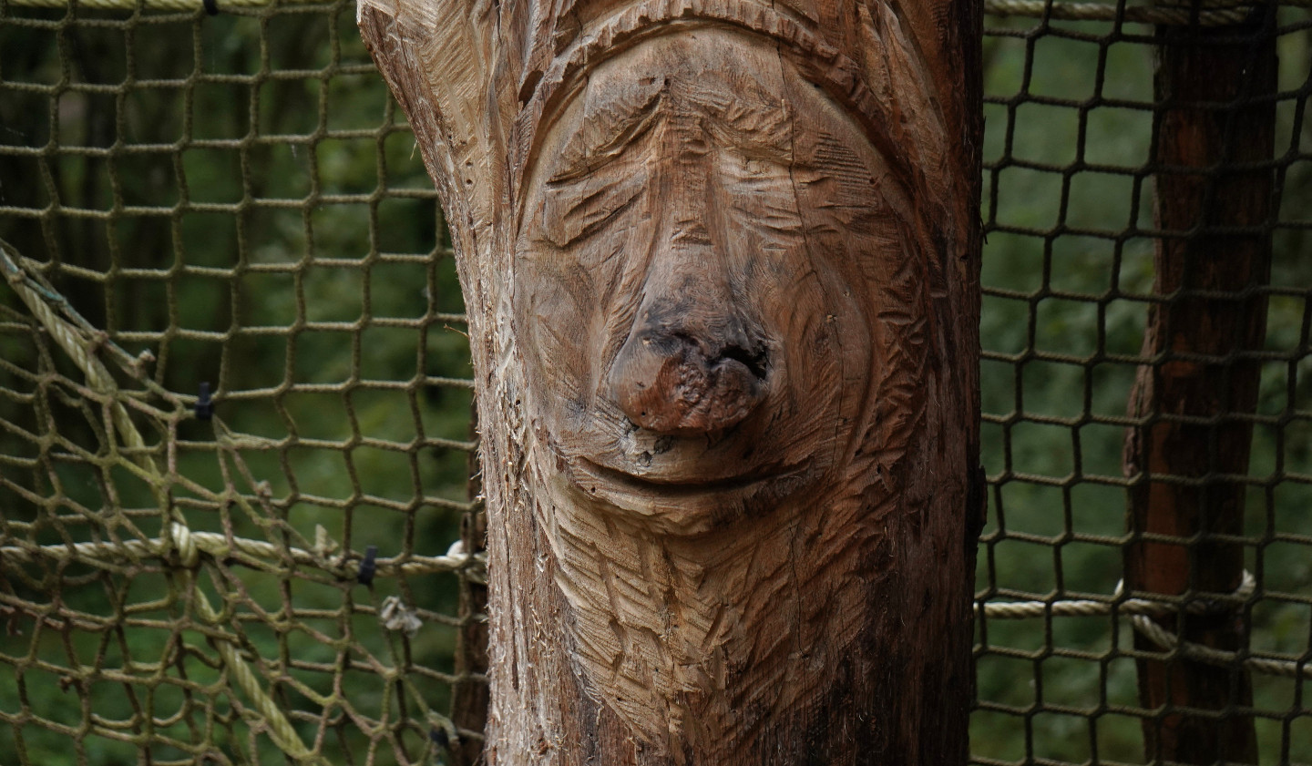 GreenGo Cabanes du Bois Clair