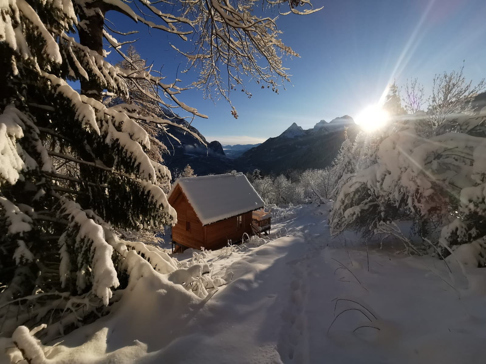 Alpes-de-Haute-Provence En forêt