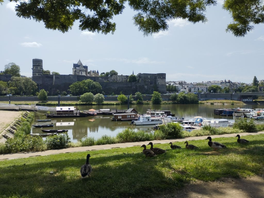 GreenGo Les Toues Angevines - Bateaux traditionnels de la Loire