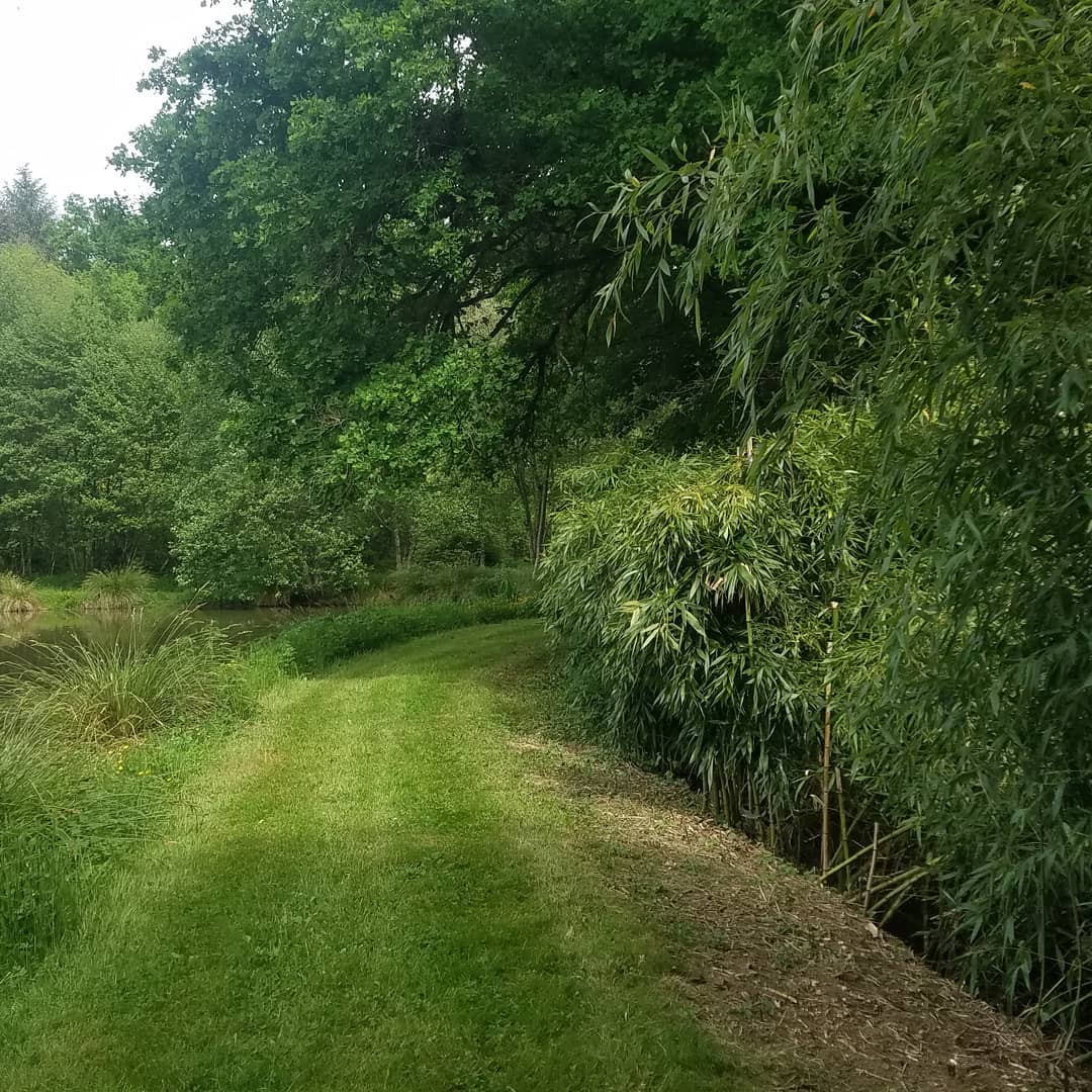 GreenGo location vacances écoresponsables