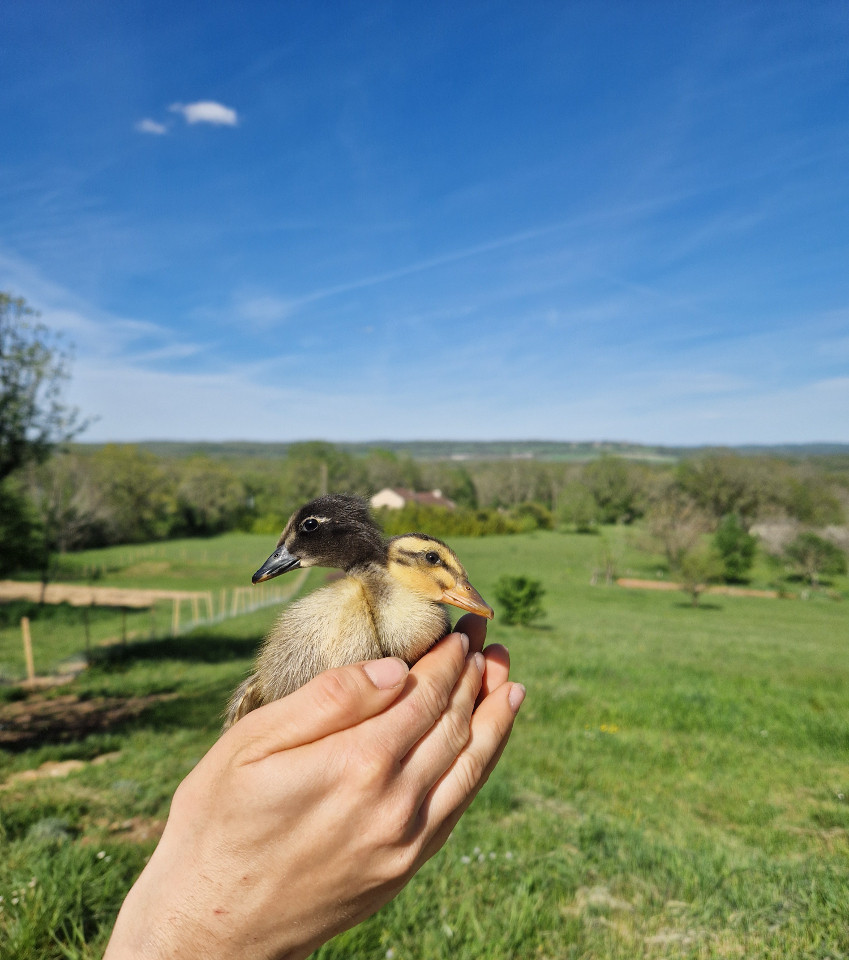 GreenGo location vacances écoresponsables