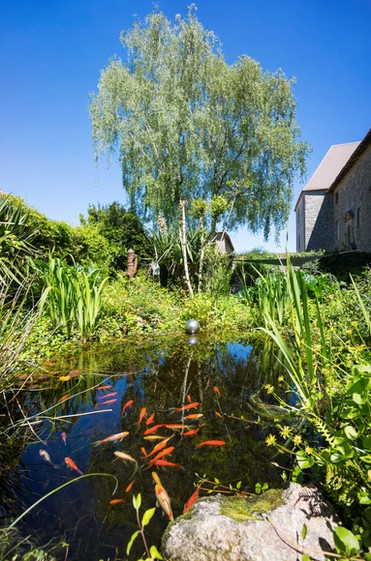 GreenGo location vacances écoresponsables