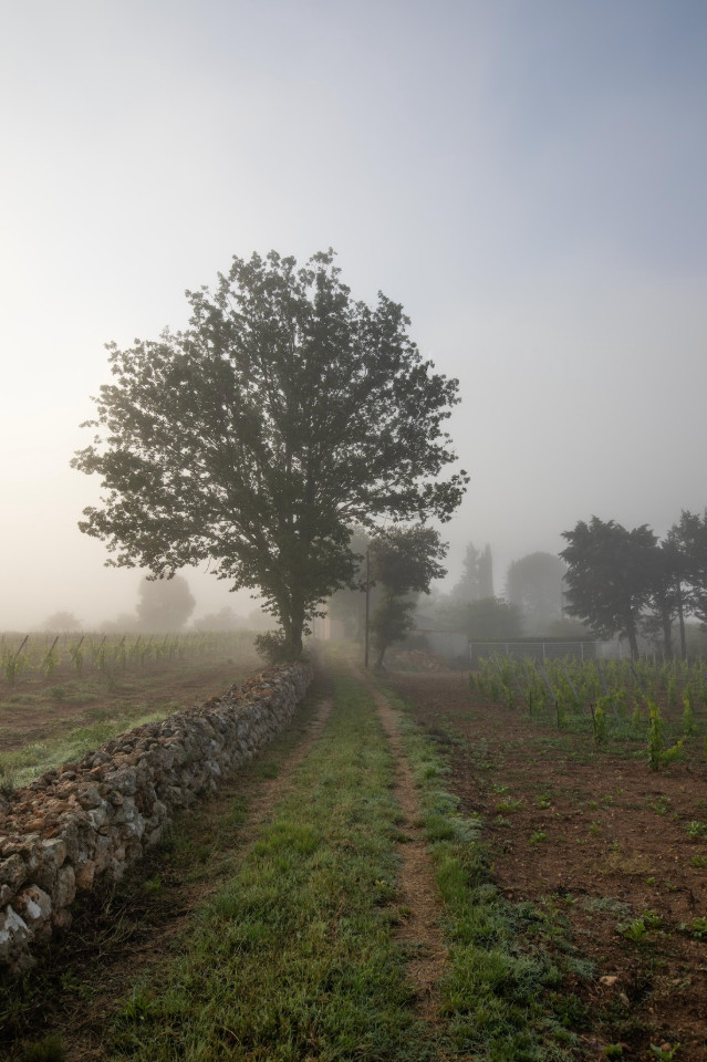 GreenGo Chambre d’hôtes Provence-Alpes-Côte d'Azur Évasion