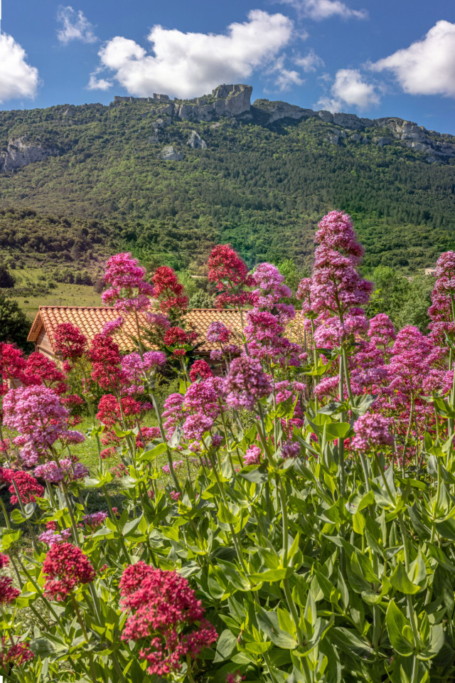 GreenGo Gîte Occitanie Évasion