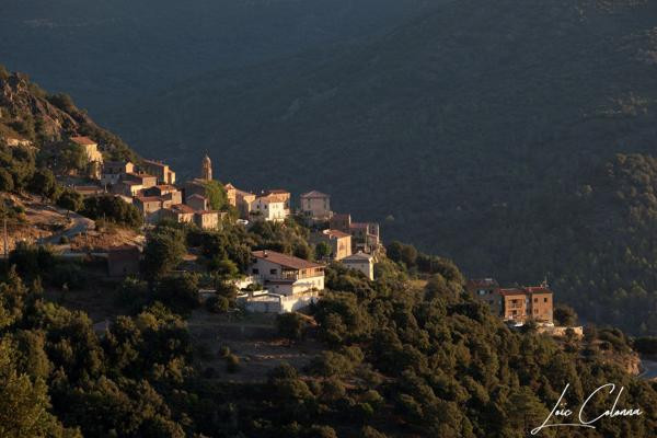 GreenGo location vacances écoresponsables