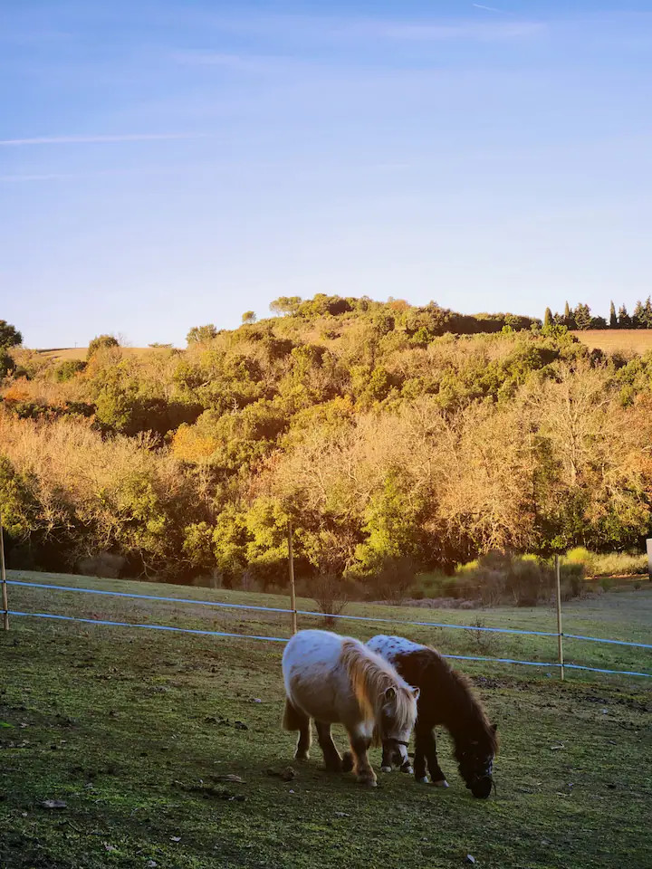 GreenGo Domaine des Cigales