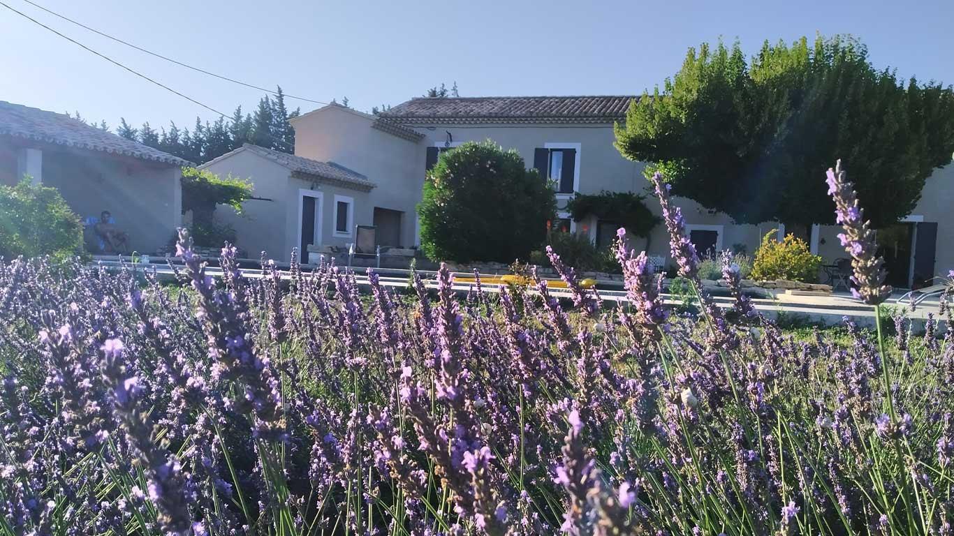 GreenGo location vacances écoresponsables