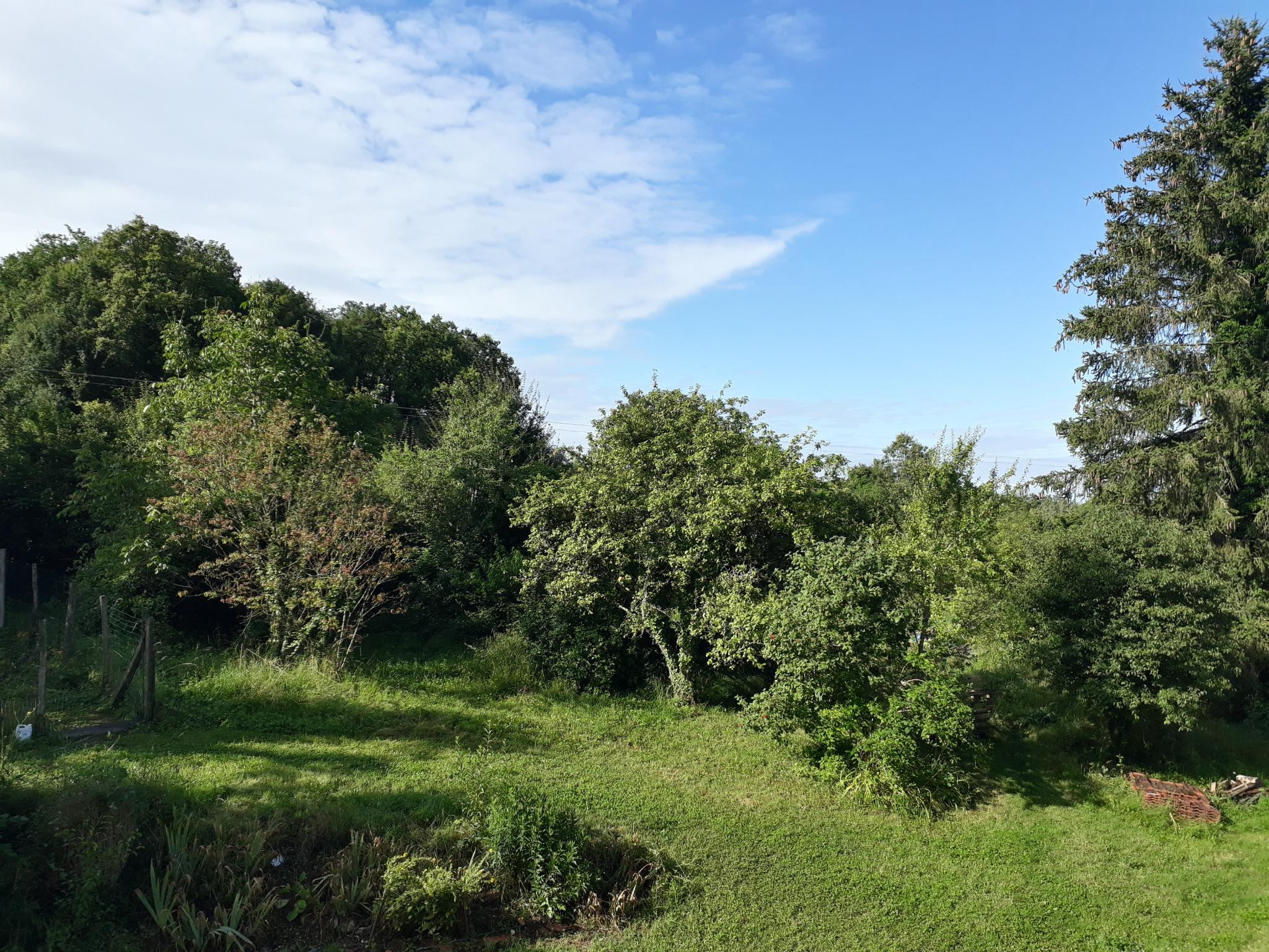  Yonne Rustique