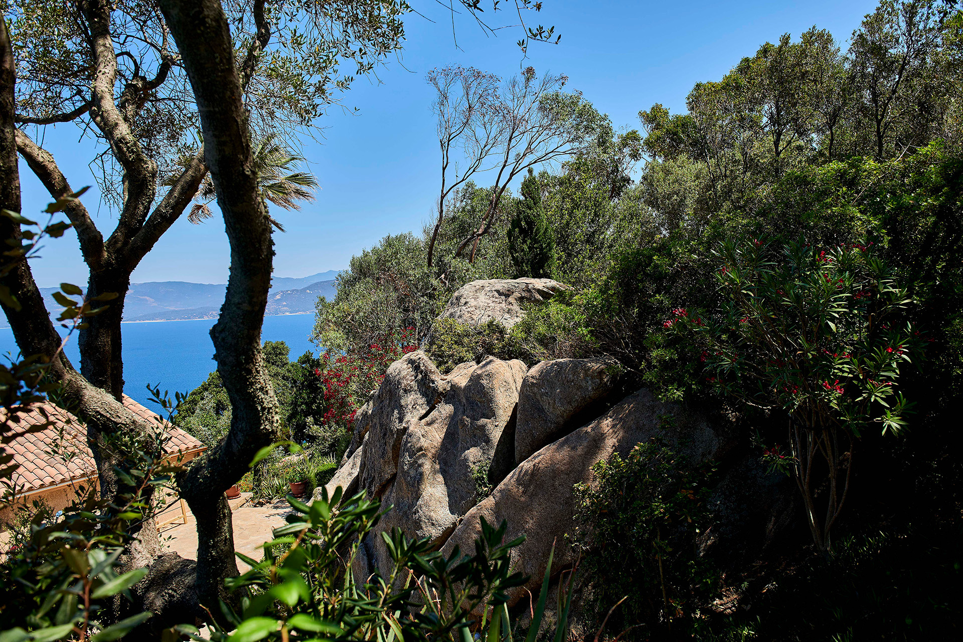 GreenGo Gîte Corse Évasion
