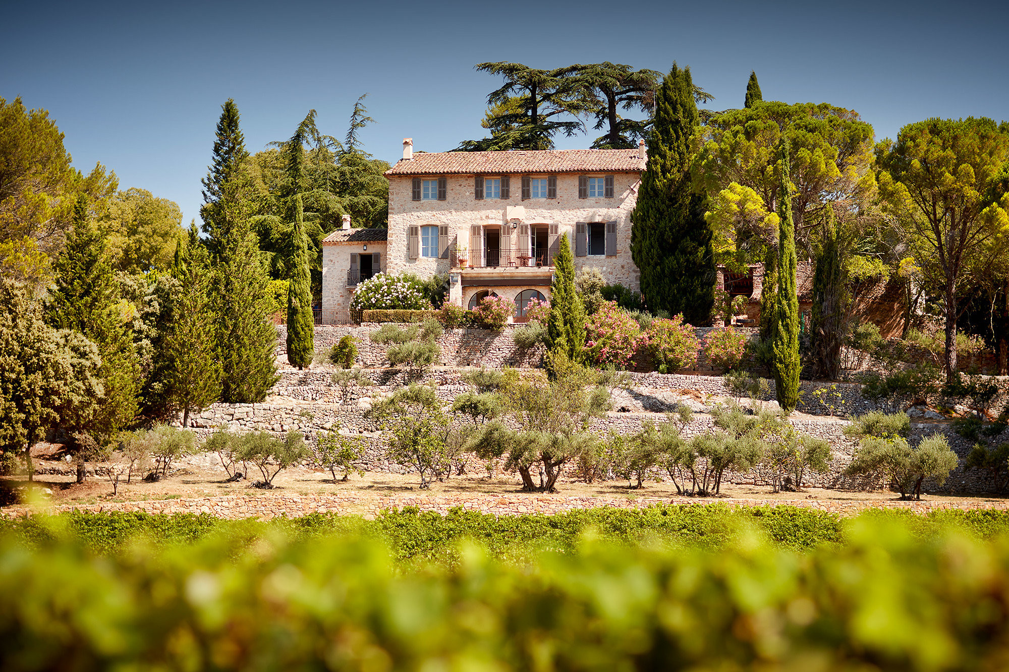 Hôte GreenGo: Bastide Saint Louis du Thoronet, au cœur d'un vignoble provençal