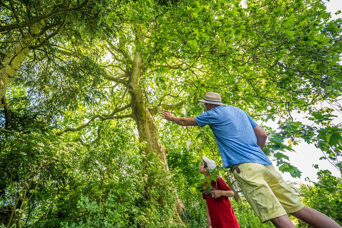 GreenGo Chateau de la Tourlandry lauréat Slow tourisme