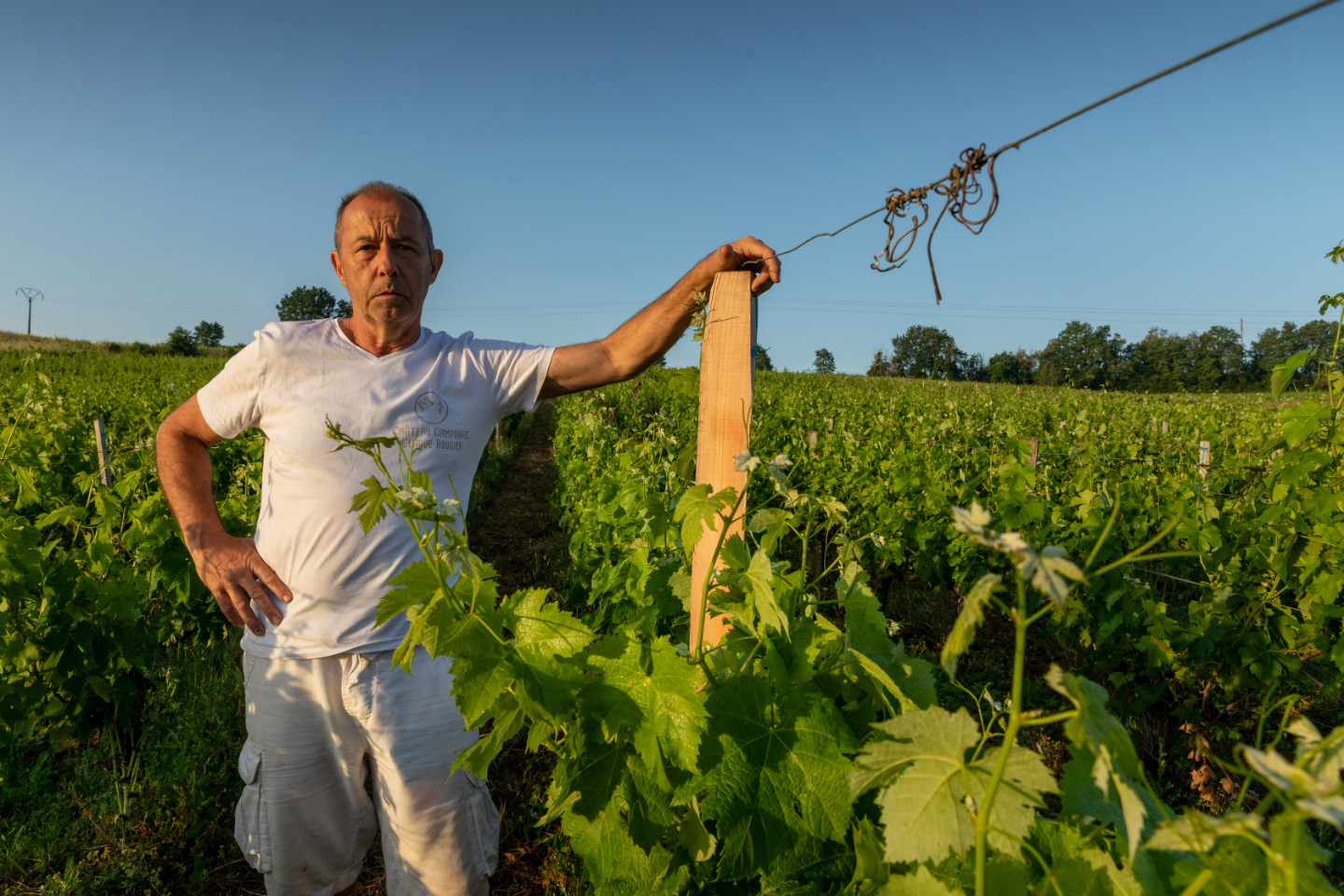 GreenGo Gîte Nouvelle-Aquitaine À la campagne