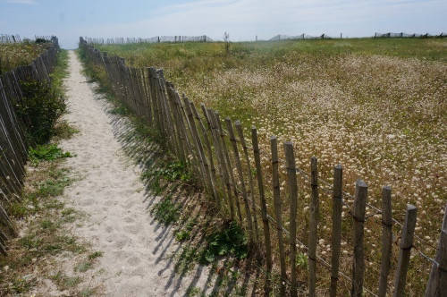 GreenGo Auberge du Lama Zébré à 5 minutes à pied de la plage encore sauvage du Ster