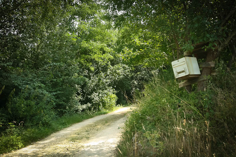 Camping Charente-Maritime En forêt