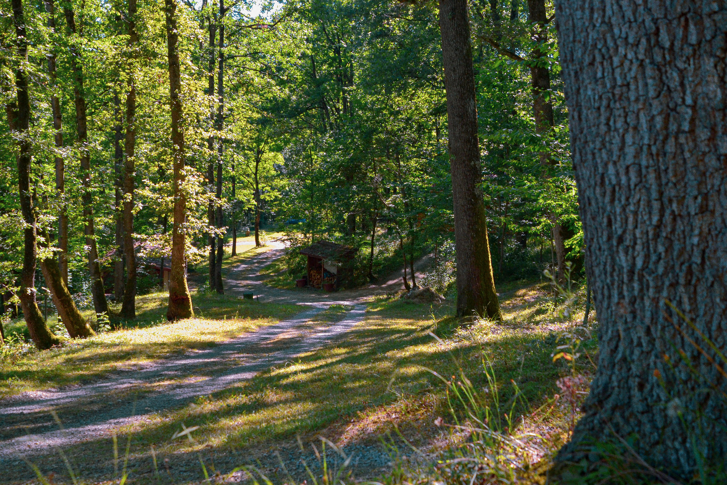 GreenGo location vacances écoresponsables