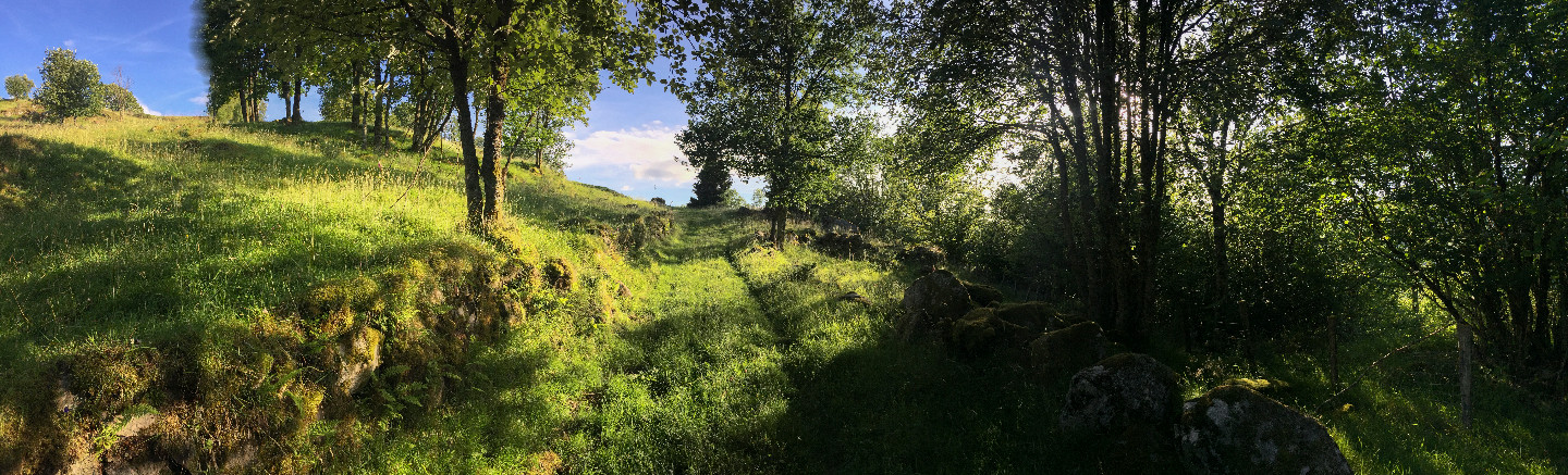 GreenGo Chambre d’hôtes Grand Est Évasion