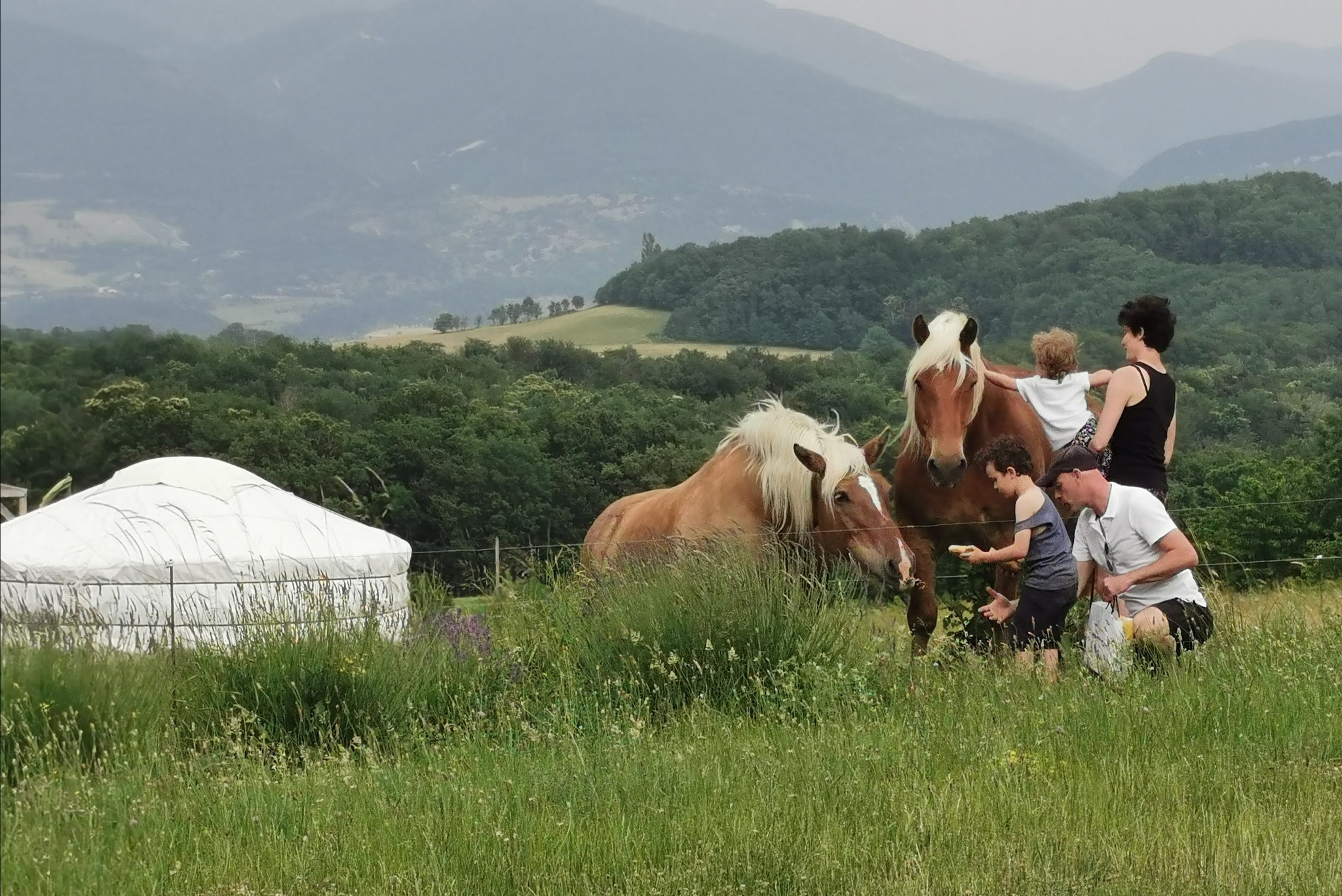 GreenGo Logement insolite Auvergne-Rhône-Alpes Évasion