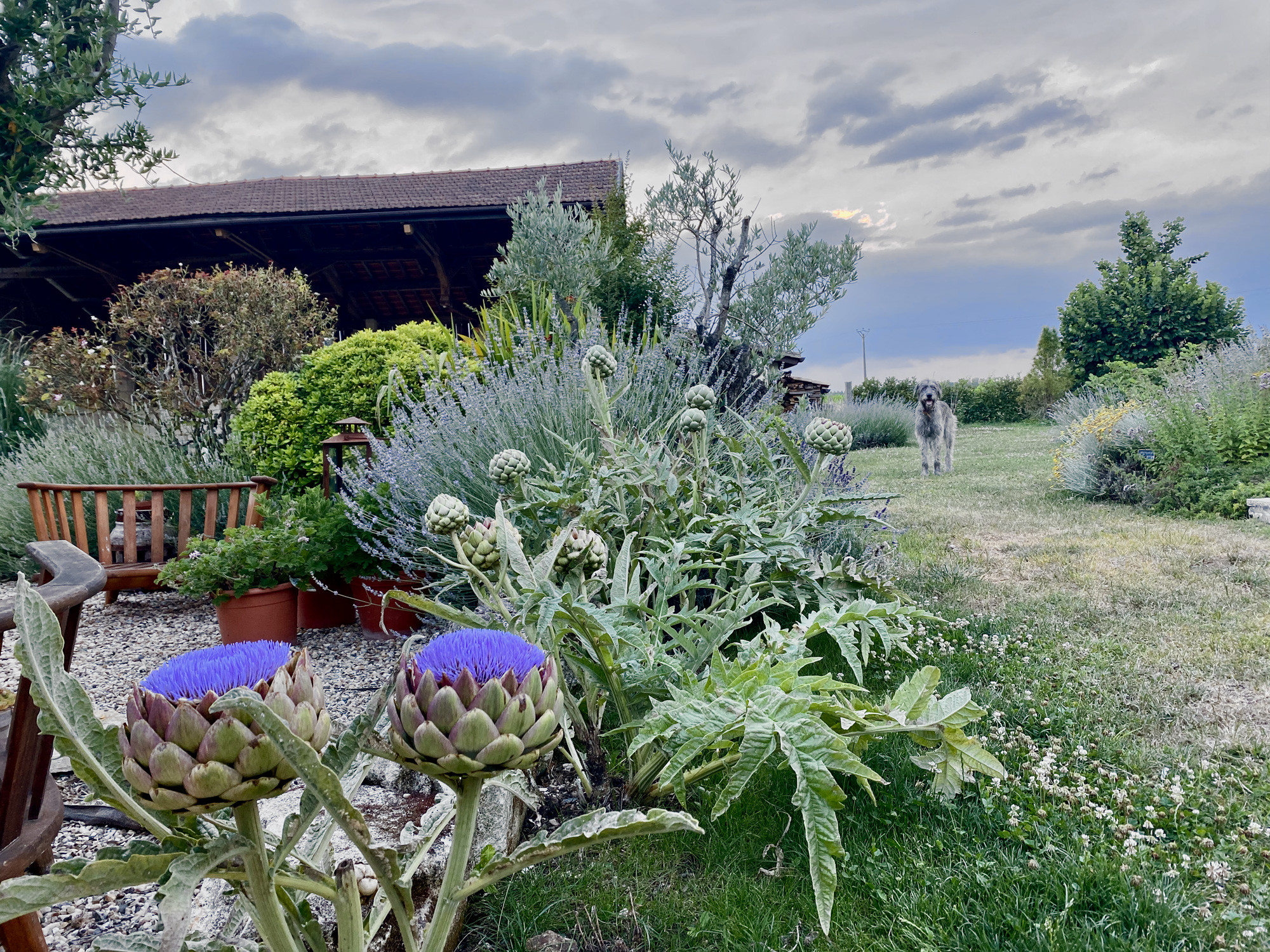 GreenGo location vacances écoresponsables