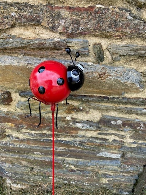 Bulle Ille-et-Vilaine À la campagne