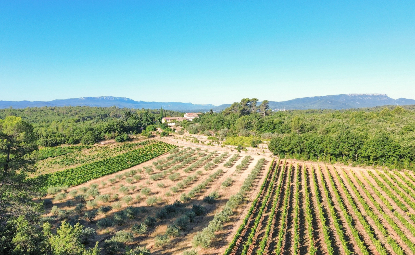 Domaine de Conillières
