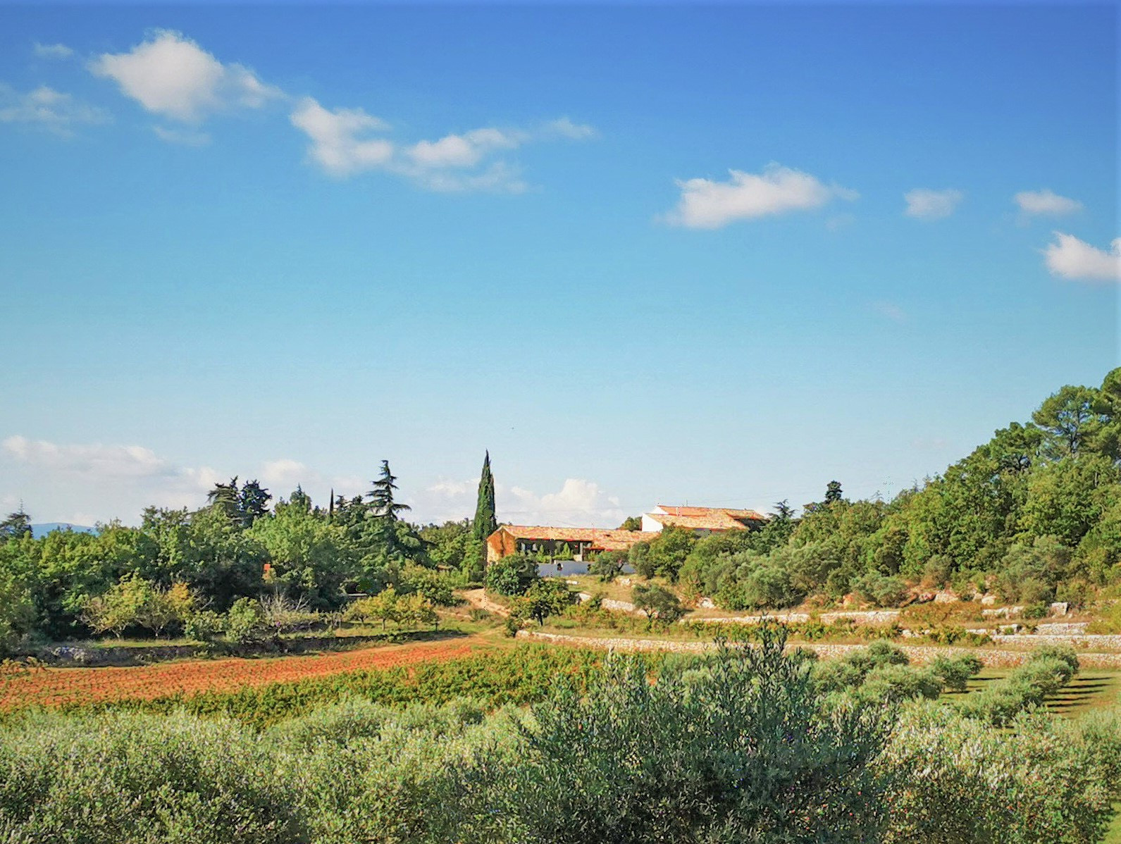 GreenGo location vacances écoresponsables