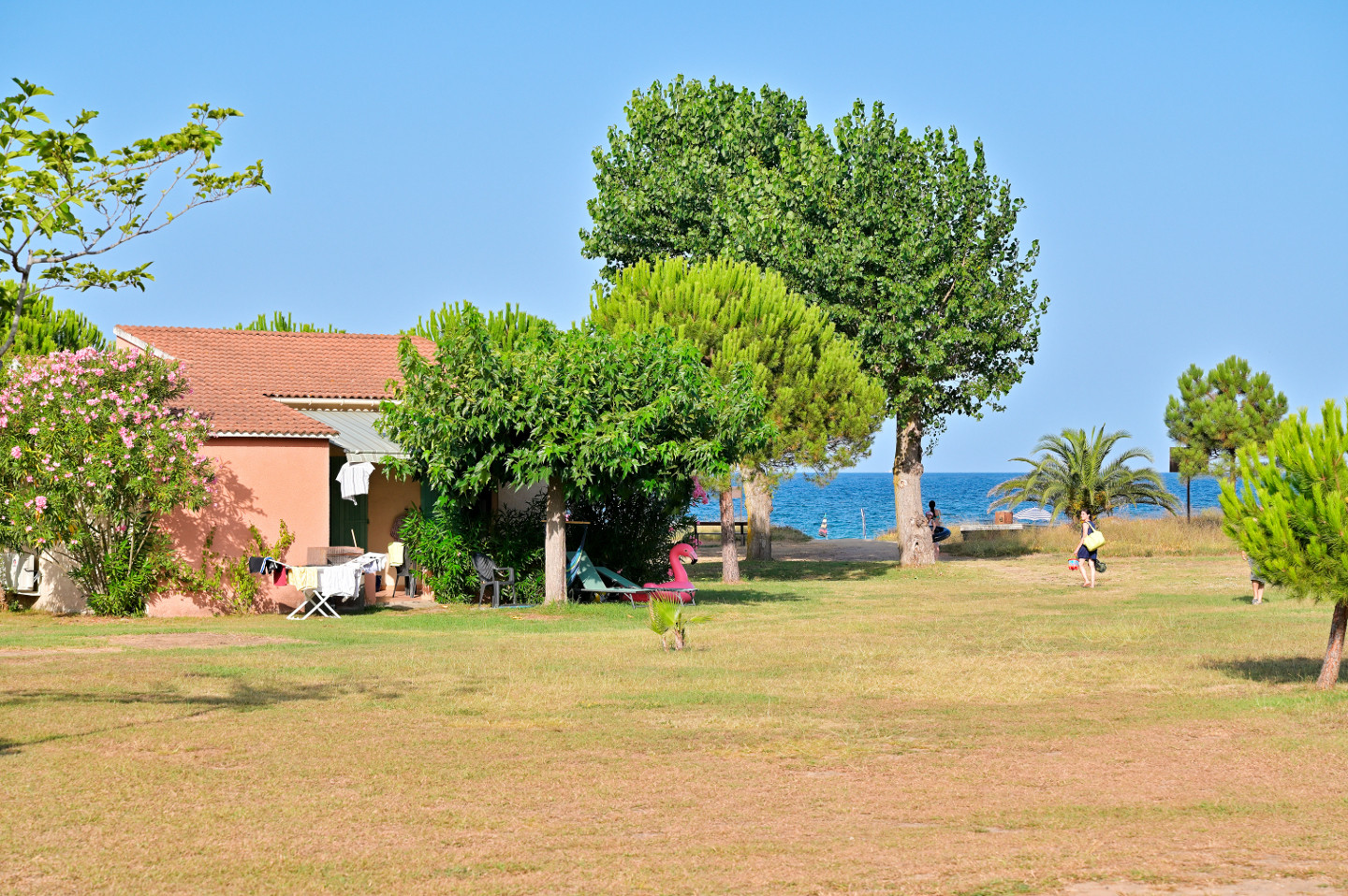 Hôte GreenGo: Pinea Mare