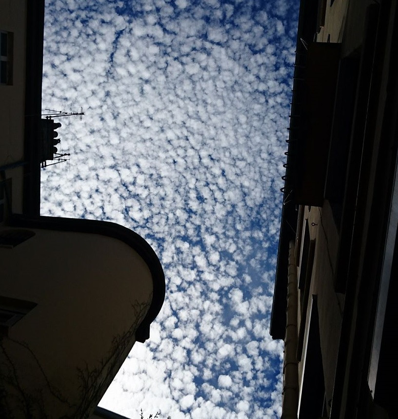 Rhône En ville