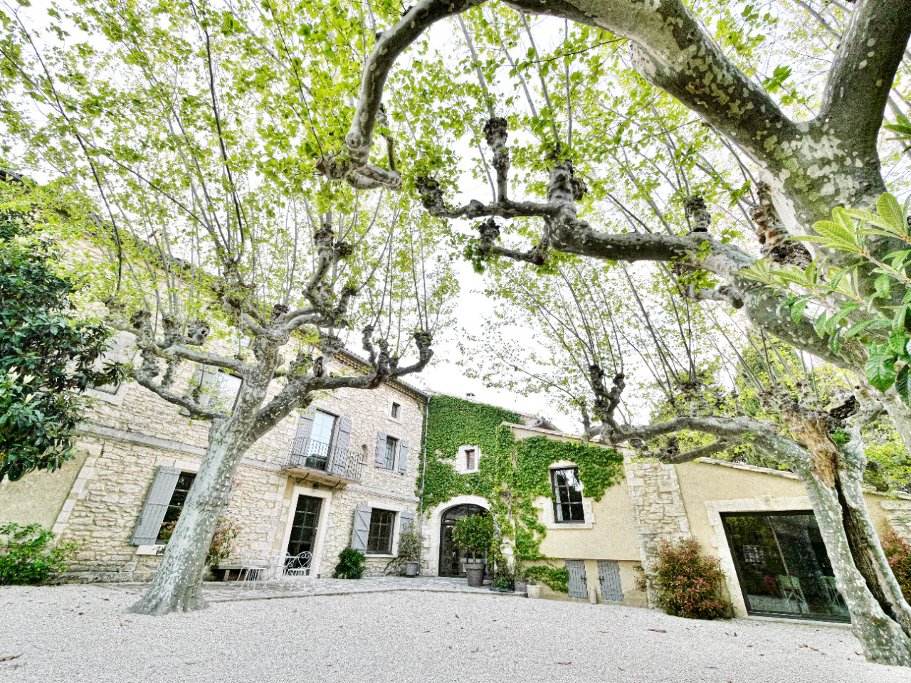 Vaucluse À la campagne
