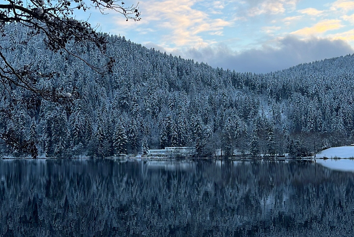 GreenGo Location Grand Est En forêt
