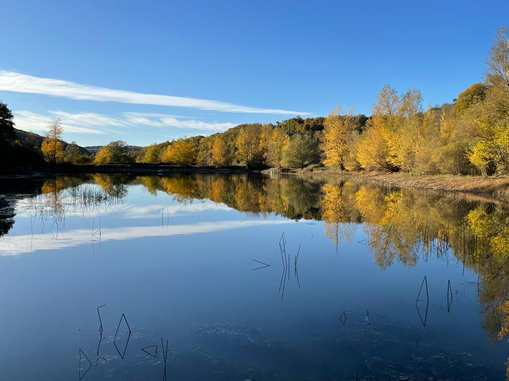 GreenGo Forêt d'Eden