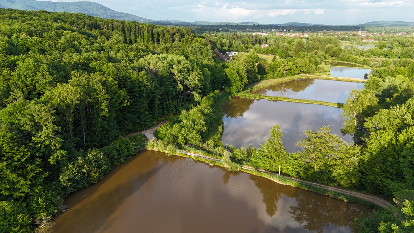 Hôte GreenGo: Domaine du morbues