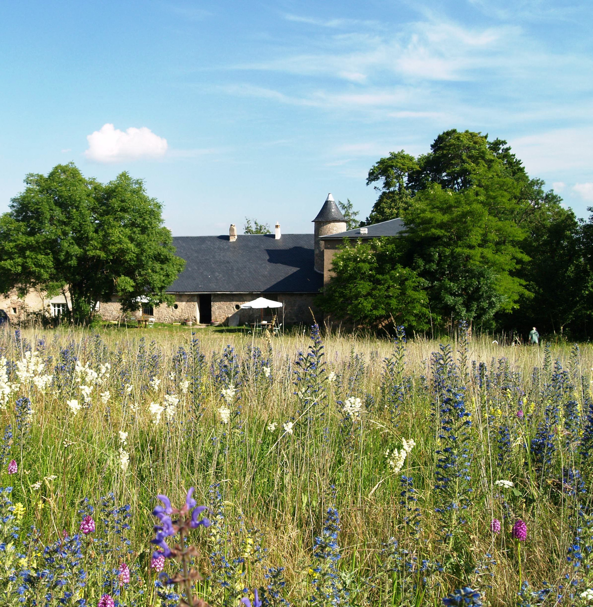 Eco-cabane