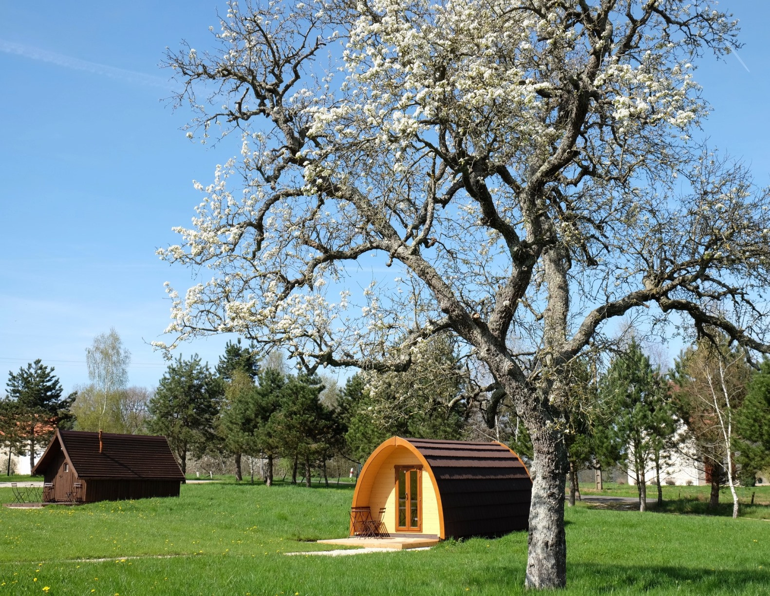 GreenGo location vacances écoresponsables
