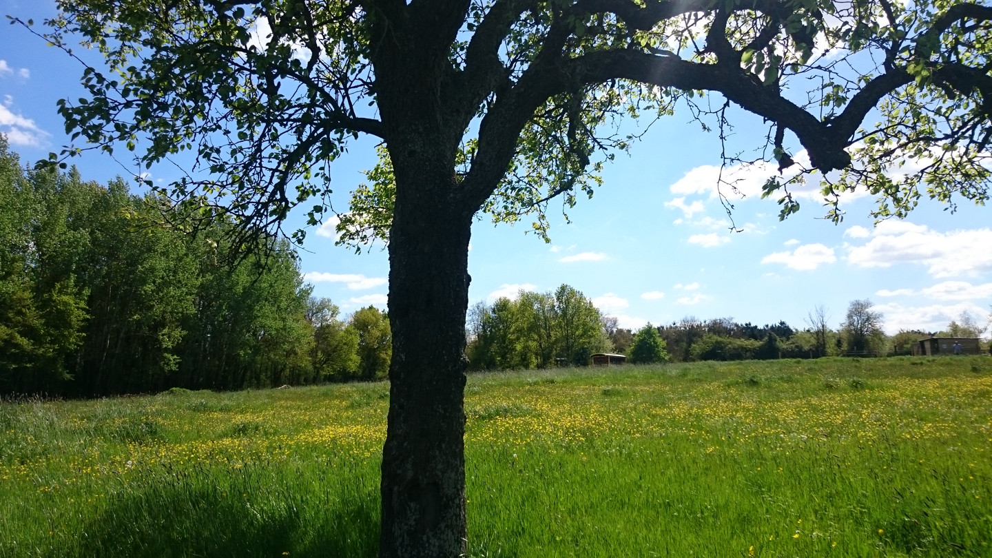 GreenGo Logement insolite Centre-Val de Loire À la campagne