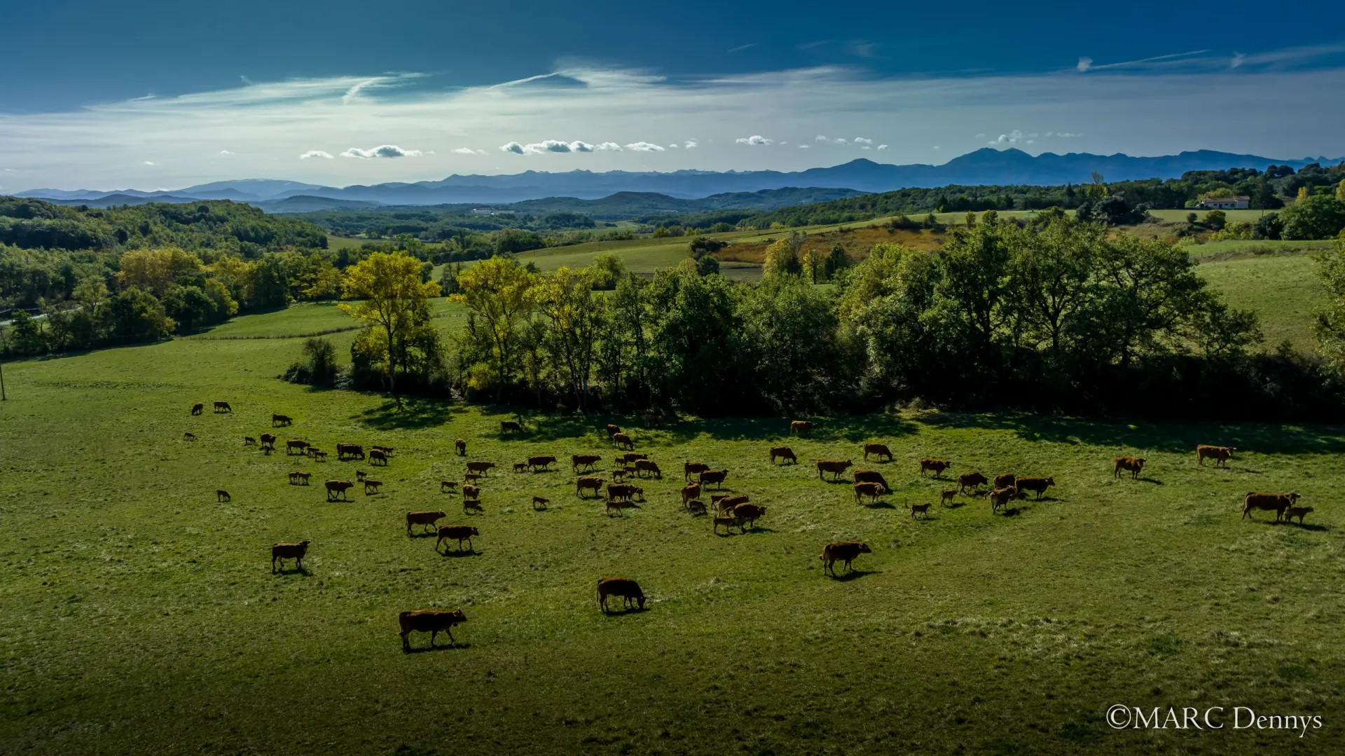 Hôte GreenGo: Le Domaine de la Trille