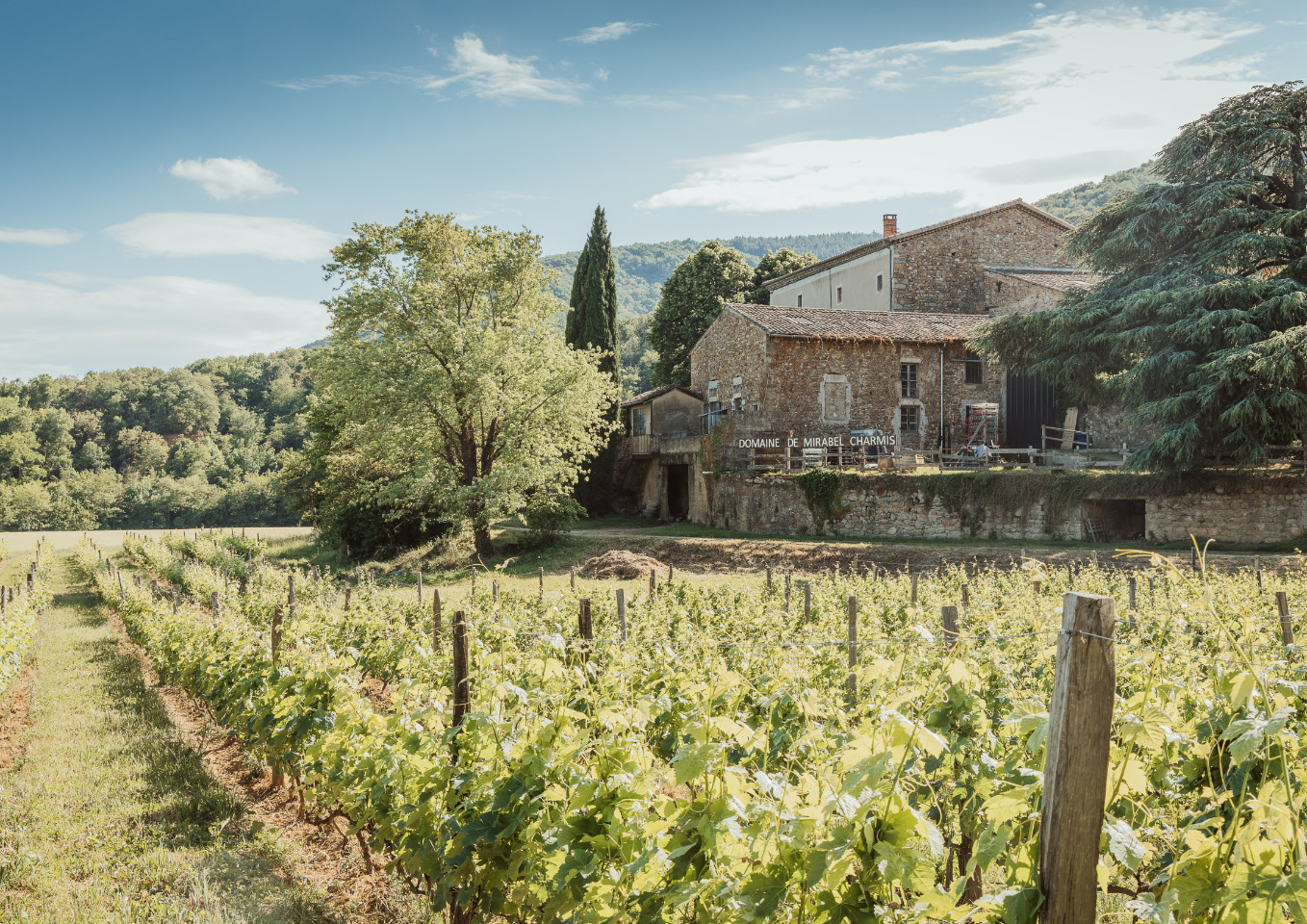 Hôte GreenGo: Domaine Mirabel Charmis